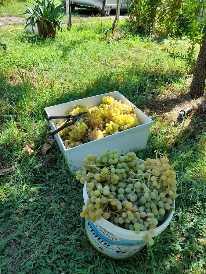 Villa Chateau Sukaj Laknas Albania