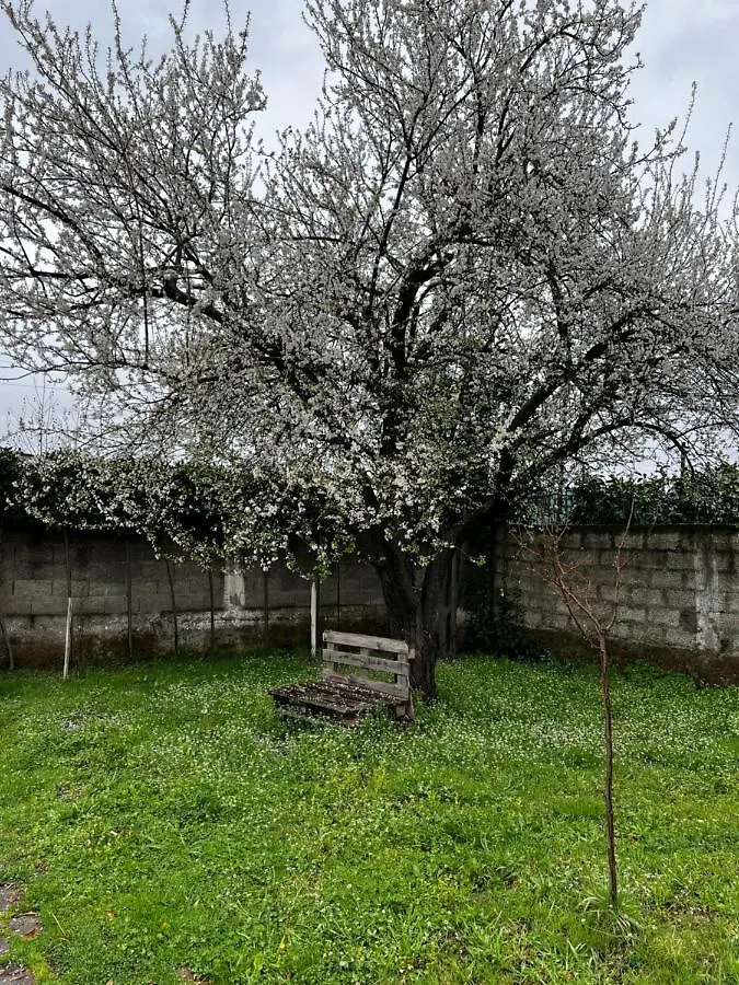 Chateau Sukaj Laknas Albania